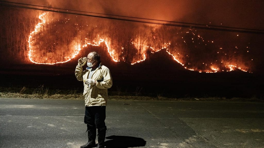 Deadly Wildfires in South Korea Claim 24 Lives as Fires Rage Uncontrollably