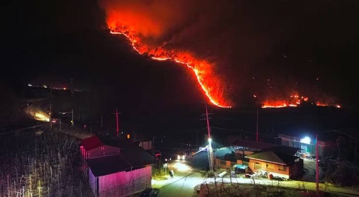 Deadly Wildfires in South Korea Claim 24 Lives as Fires Rage Uncontrollably