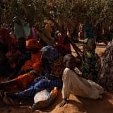 “We’re Eating Leaves and Charcoal”: Sudan’s Forgotten Crisis Deepens