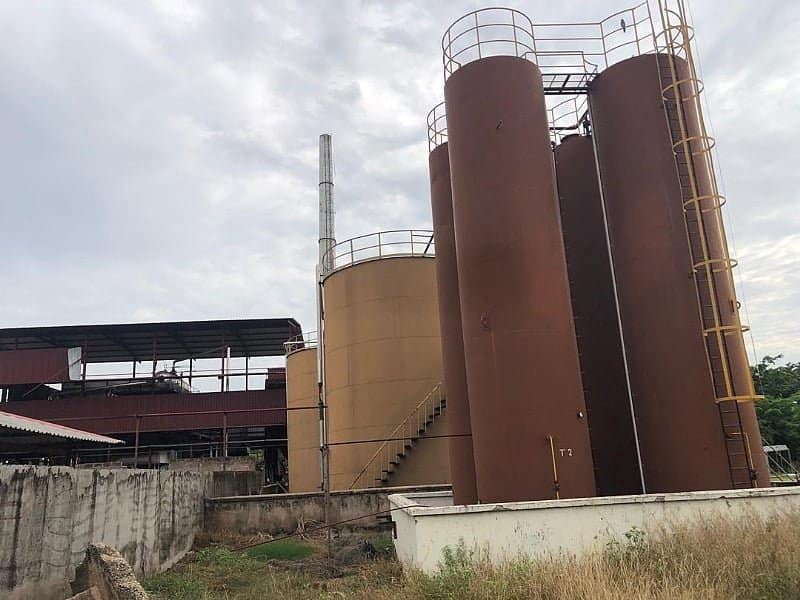 30,000 Jobs in Sight as Buipe Shea Factory Resumes Full Operations